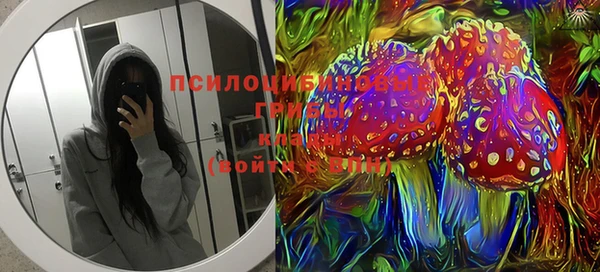 гидропоника Верея