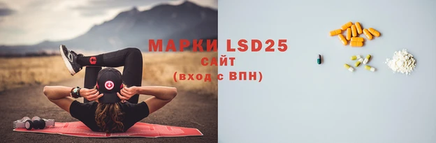 гидропоника Верея