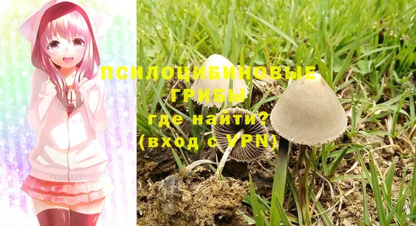 первитин Верхний Тагил