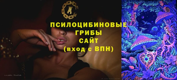 индика Верхнеуральск