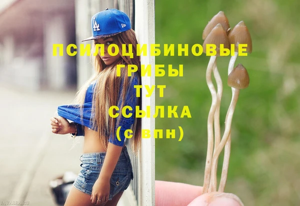 гидропоника Верея