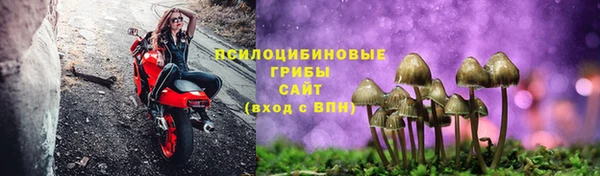 индика Верхнеуральск